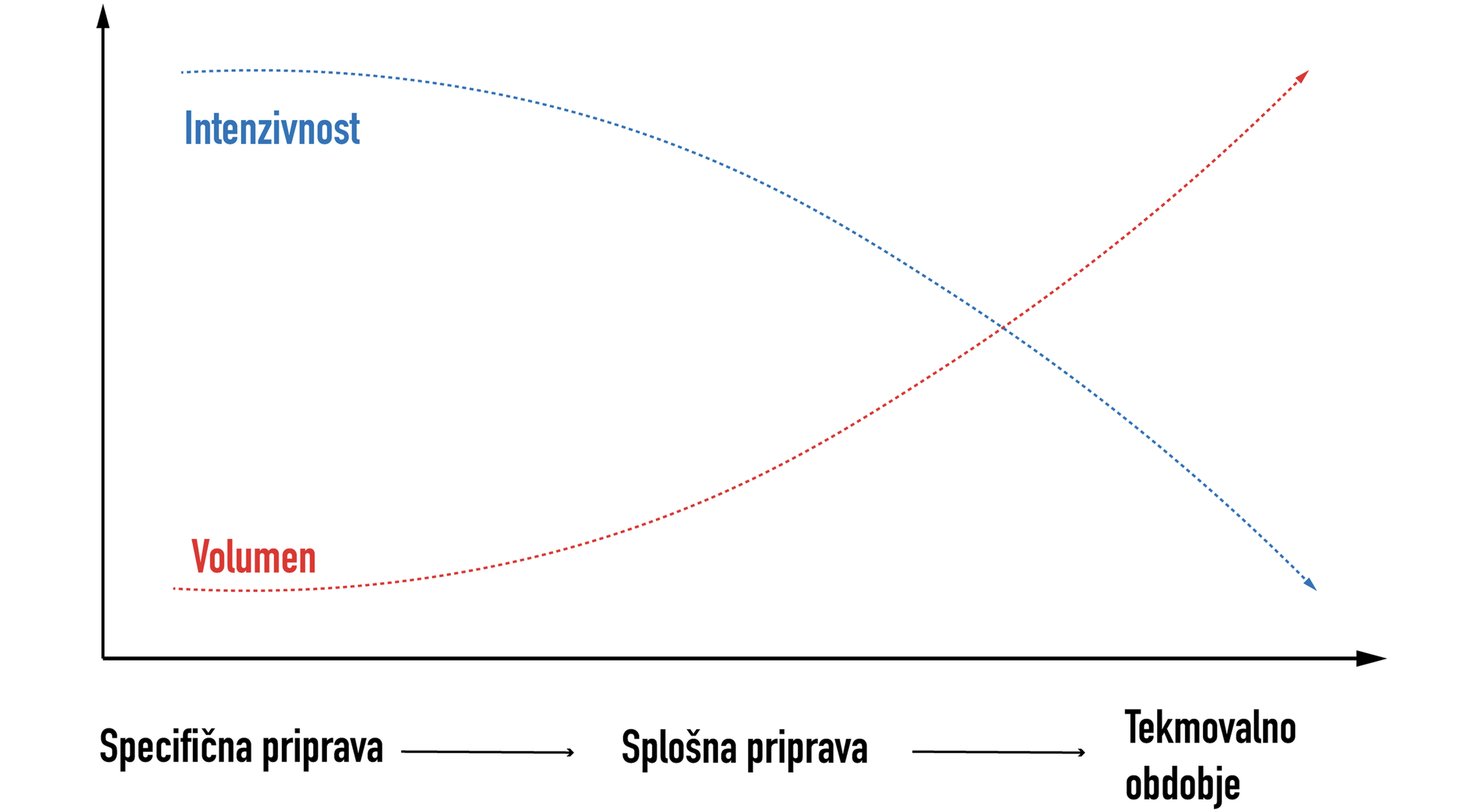 Valovita periodizacija