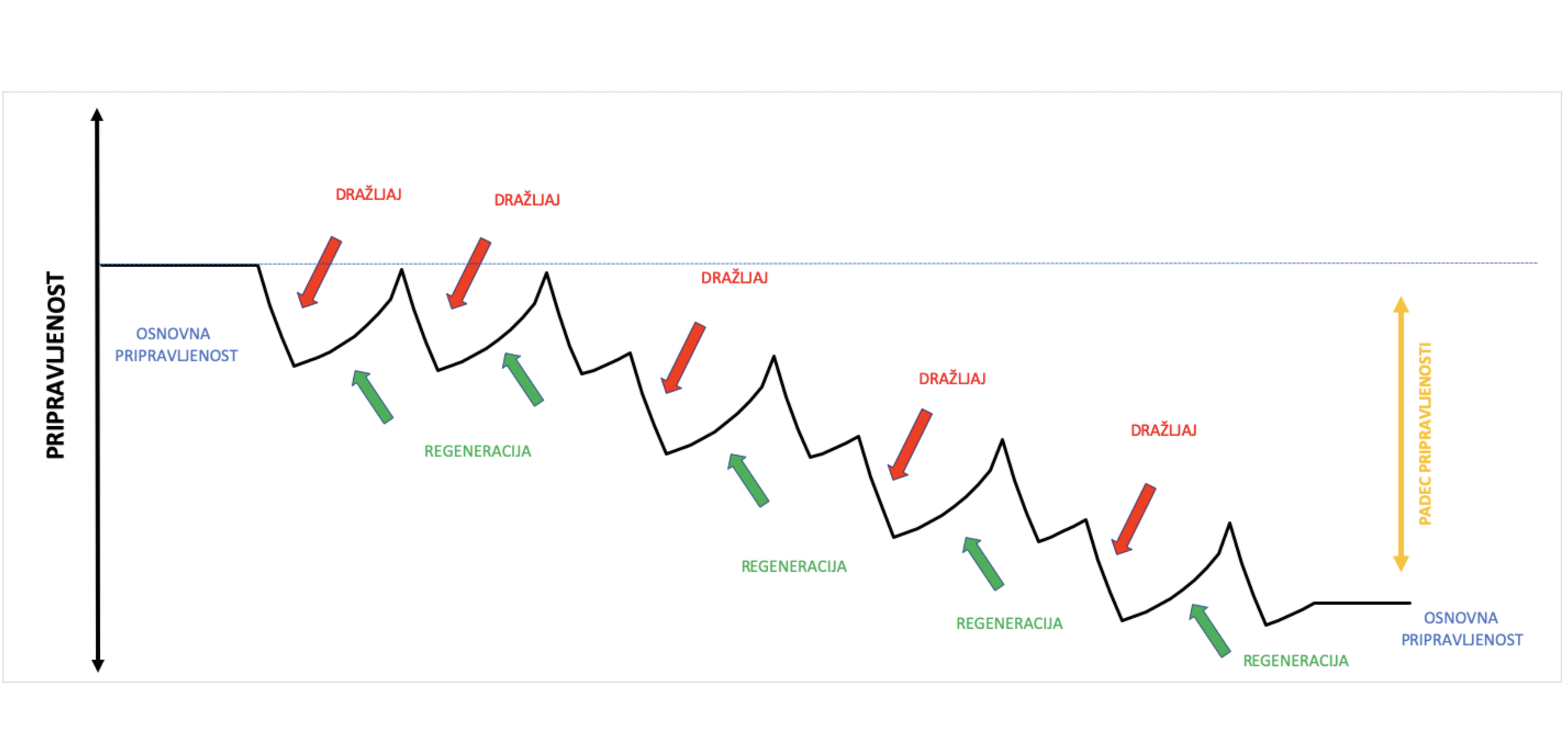 Modeli periodizacije