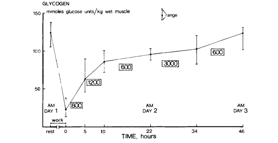 Graf koncentracije mišičnega glikogena