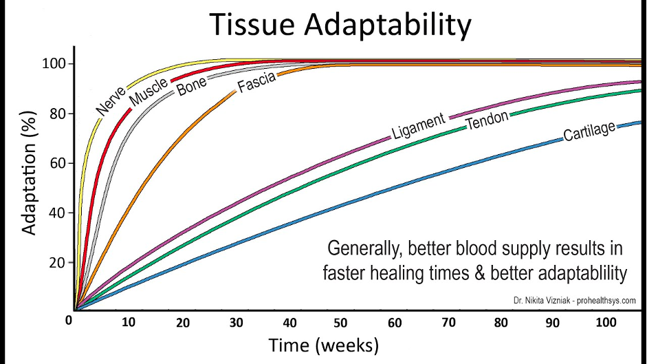 Adaptacijski čas struktur