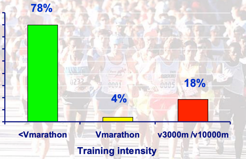 Polariziran pristop k treningu